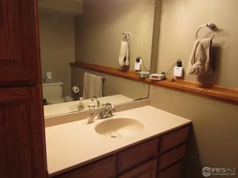 7 Orchid Ct, Windsor, CO 80550 photo 11