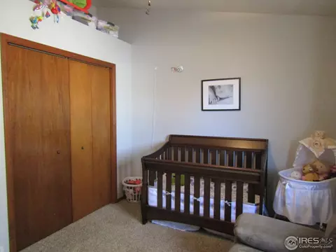 7 Orchid Ct, Windsor, CO 80550 photo 13