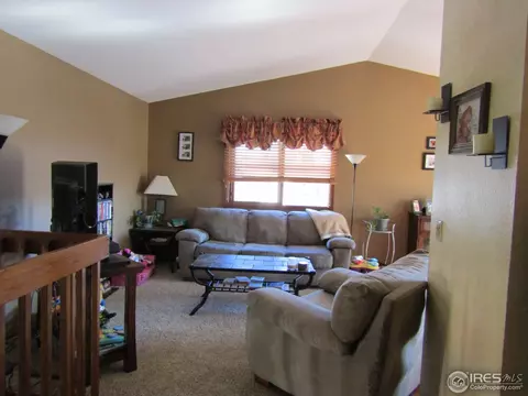 7 Orchid Ct, Windsor, CO 80550 photo 6