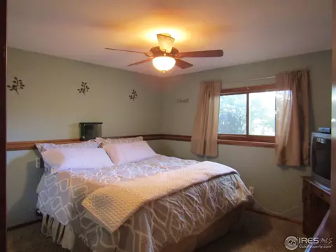 7 Orchid Ct, Windsor, CO 80550 photo 10