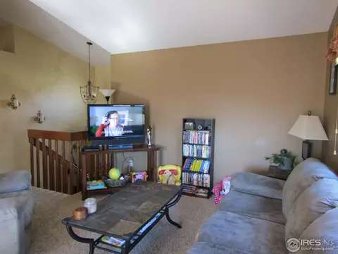 7 Orchid Ct, Windsor, CO 80550 photo 7