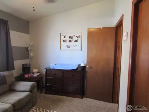 7 Orchid Ct, Windsor, CO 80550 photo 14