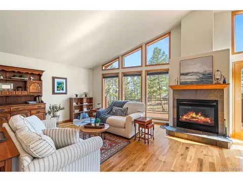 Living - 9831 S Warhawk Rd, Conifer, CO 80433 photo 3 of 7