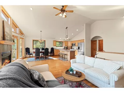 Living - 9831 S Warhawk Rd, Conifer, CO 80433 photo 4 of 7