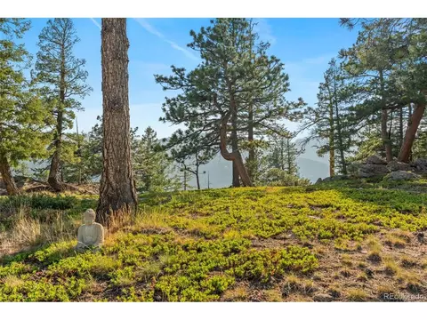 Exterior - 9831 S Warhawk Rd, Conifer, CO 80433 photo 3 of 8