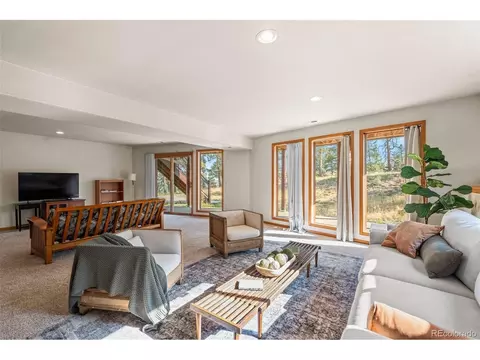Living - 9831 S Warhawk Rd, Conifer, CO 80433 photo 7 of 7