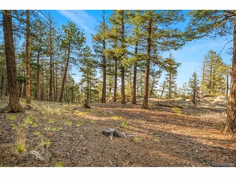 Other - 9831 S Warhawk Rd, Conifer, CO 80433 photo 8 of 8