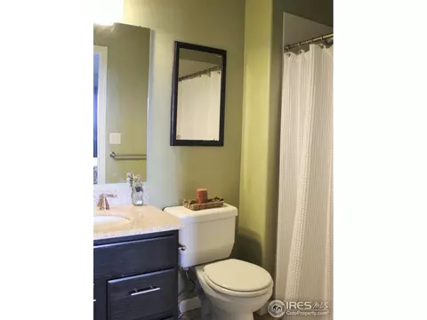 1007 Timberline Ct, Windsor, CO 80550 photo 14