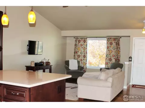 1007 Timberline Ct, Windsor, CO 80550 photo 10