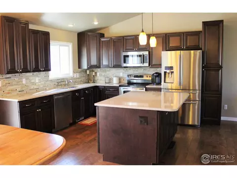 1007 Timberline Ct, Windsor, CO 80550 photo 4