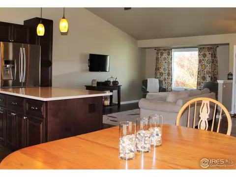 1007 Timberline Ct, Windsor, CO 80550 photo 9