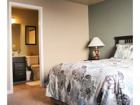 1007 Timberline Ct, Windsor, CO 80550 photo 13