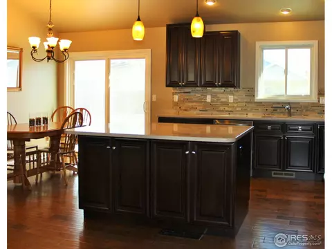 1007 Timberline Ct, Windsor, CO 80550 photo 7