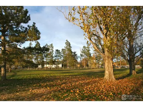 5407 Arrowhead Dr, Greeley, CO 80634 photo 13