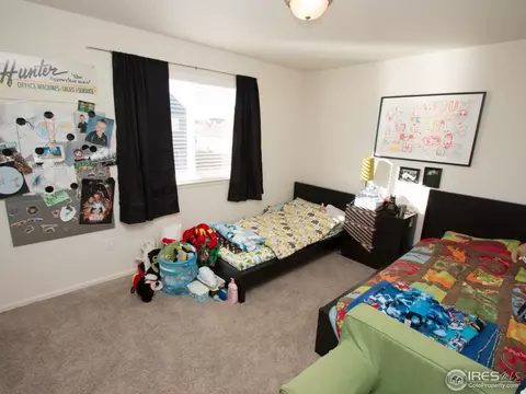 5812 Waverley Ave, Firestone, CO 80504 photo 20
