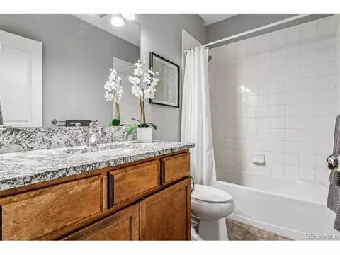 8094 E 49th Dr, Denver, CO 80238 photo 26