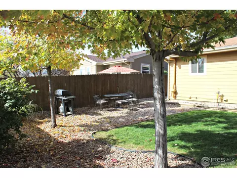 65 Lodgepole Dr, Windsor, CO 80550 photo 25