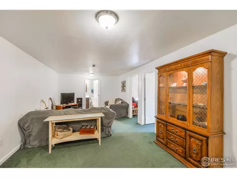65 Lodgepole Dr, Windsor, CO 80550 photo 16