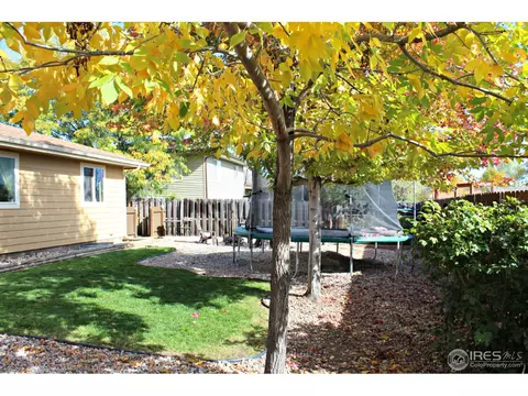 65 Lodgepole Dr, Windsor, CO 80550 photo 24