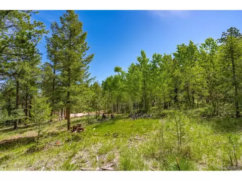 393 S Mountain Estates Rd, Florissant, CO 80816