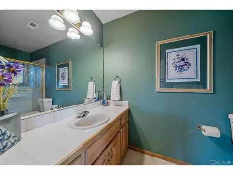 31190 Eagle Crest Ln, Evergreen, CO 80439 photo 34