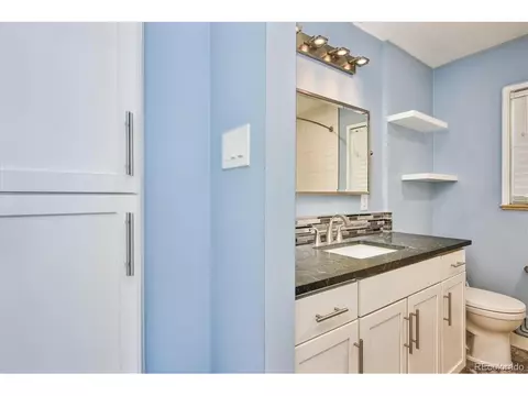 3283 Ivanhoe St, Denver, CO 80207 photo 14