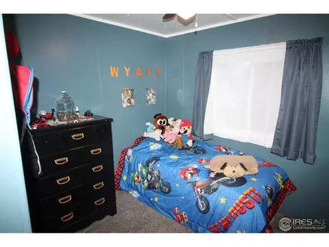 605 N Custer Ave, Fleming, CO 80728 photo 14