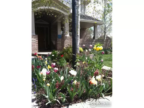 4008 Mustique Ct, Boulder, CO 80301 photo 15