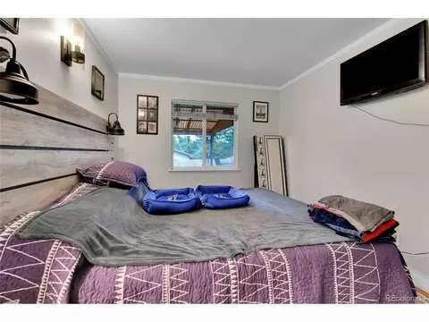8156 Downing St, Denver, CO 80229 photo 13