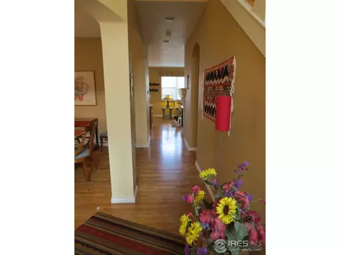 106 Bohn Ct, Lyons, CO 80540 photo 3