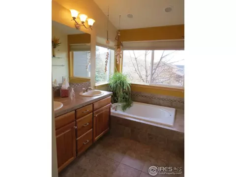 106 Bohn Ct, Lyons, CO 80540 photo 13