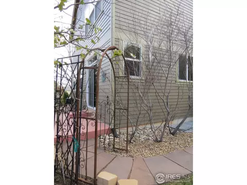 106 Bohn Ct, Lyons, CO 80540 photo 20