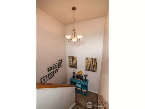2201 E 128th Ave, Thornton, CO 80241 photo 11