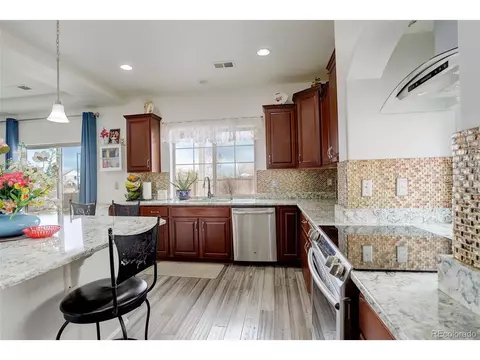 4971 Ceylon Way, Denver, CO 80249 photo 12