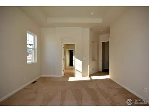 5642 Mid Pointe Dr, Windsor, CO 80550 photo 13