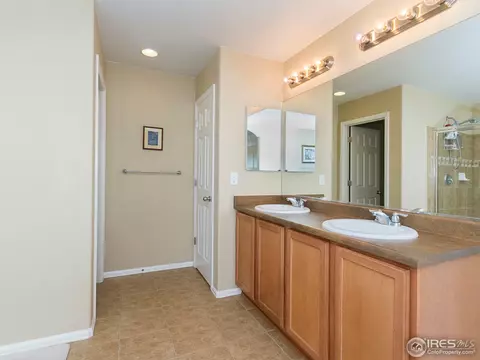 600 Colney Ct, Windsor, CO 80550 photo 16