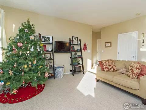600 Colney Ct, Windsor, CO 80550 photo 3