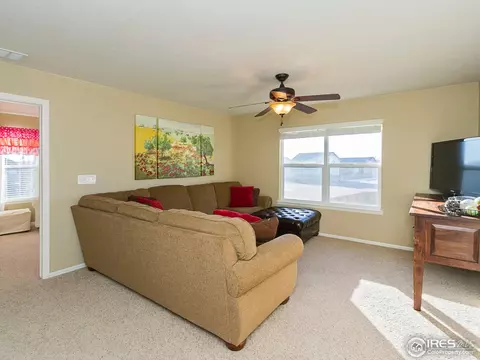 600 Colney Ct, Windsor, CO 80550 photo 13
