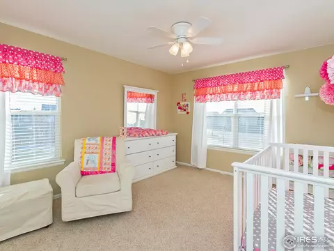 600 Colney Ct, Windsor, CO 80550 photo 17