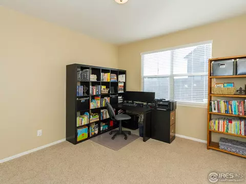 600 Colney Ct, Windsor, CO 80550 photo 10