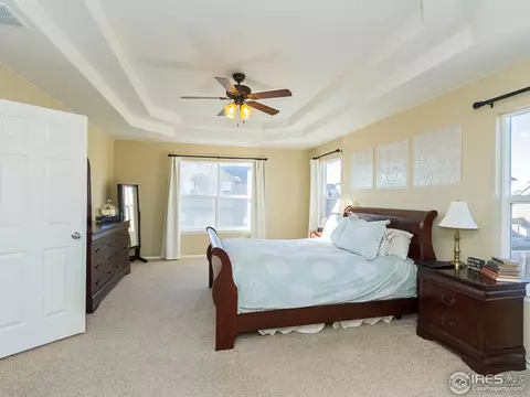 600 Colney Ct, Windsor, CO 80550 photo 14