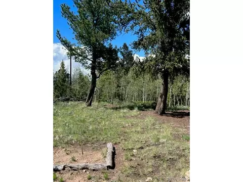 7512 Remington Rd, Como, CO 80432 photo 29