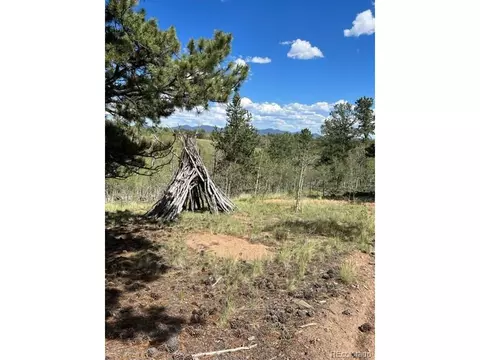 7512 Remington Rd, Como, CO 80432 photo 10