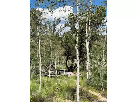 7512 Remington Rd, Como, CO 80432 photo 11