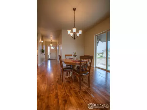 461 Crystal Beach Dr, Windsor, CO 80550 photo 10