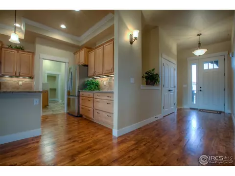 461 Crystal Beach Dr, Windsor, CO 80550 photo 6