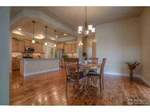 461 Crystal Beach Dr, Windsor, CO 80550 photo 11
