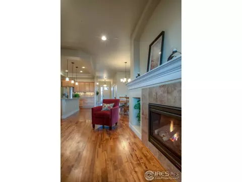461 Crystal Beach Dr, Windsor, CO 80550 photo 5