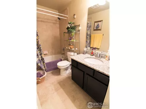 785 Mount Massive St, Berthoud, CO 80513 photo 22