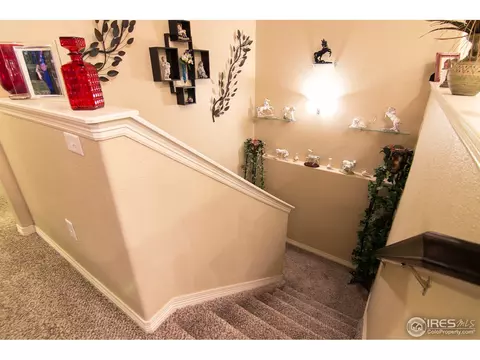 785 Mount Massive St, Berthoud, CO 80513 photo 18